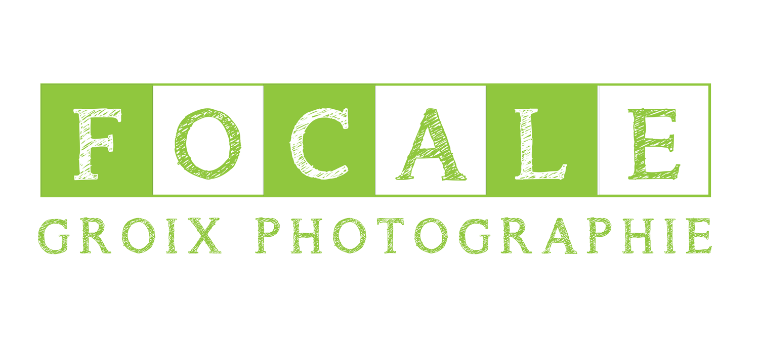 focalebanner-green1500