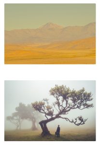 Mostra ("montrer" en italien) est une galerie de photos d'art à Nantes qui nous propose une autre manière de regarder le Monde. Les artistes exposés ont en commun un chemin intérieur sur l'envers des décors, l'intime et parfois le surnaturel. Laurence Biaggi (en haut) et Hervé Castaing nous emportent sur un tapis volant de sensations qui dépassent l'objectif. Pour rêver sans fin...https://mostragalerie.fr/contact.html