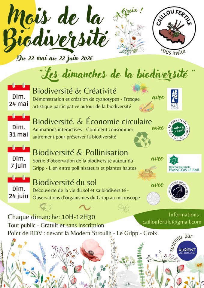 Les Dimanches de la Biodiversité à Groix