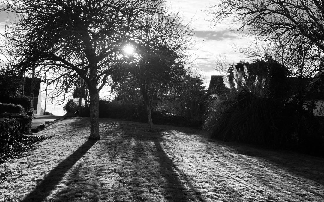 Contre-jour