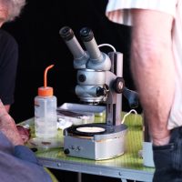 Dimanches de la biodiversité au Gripp 14 Juin 2026