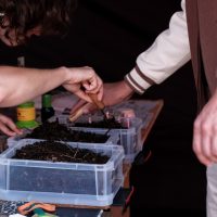 Dimanches de la biodiversité au Gripp 14 Juin 2026