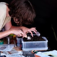 Dimanches de la biodiversité au Gripp 14 Juin 2026