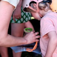 Dimanches de la biodiversité au Gripp 14 Juin 2026