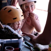Dimanches de la biodiversité au Gripp 14 Juin 2026