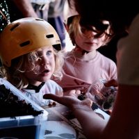 Dimanches de la biodiversité au Gripp 14 Juin 2026