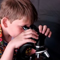 Dimanches de la biodiversité au Gripp 14 Juin 2026