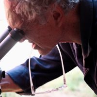 Dimanches de la biodiversité au Gripp 14 Juin 2026